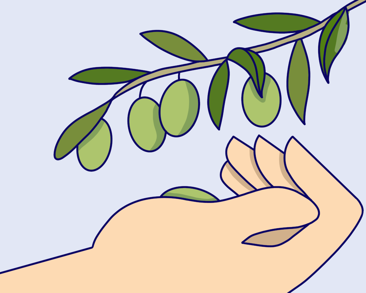 La Importancia del Cultivo del Olivo en España